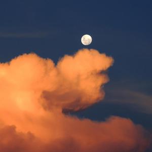 岳丰满大屁股丰满的女人是谁
