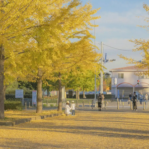 岳丰满大屁股丰满的女人是谁
