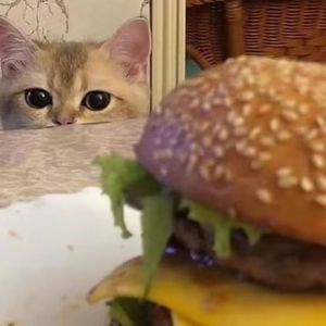 岳丰满大屁股丰满的女人是谁
