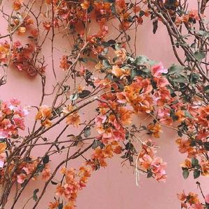 岳丰满大屁股丰满的女人是谁
